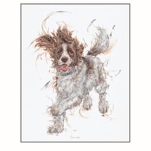 Bounder by Aaminah Snowdon