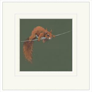 Balancing Act by Nicky Litchfield